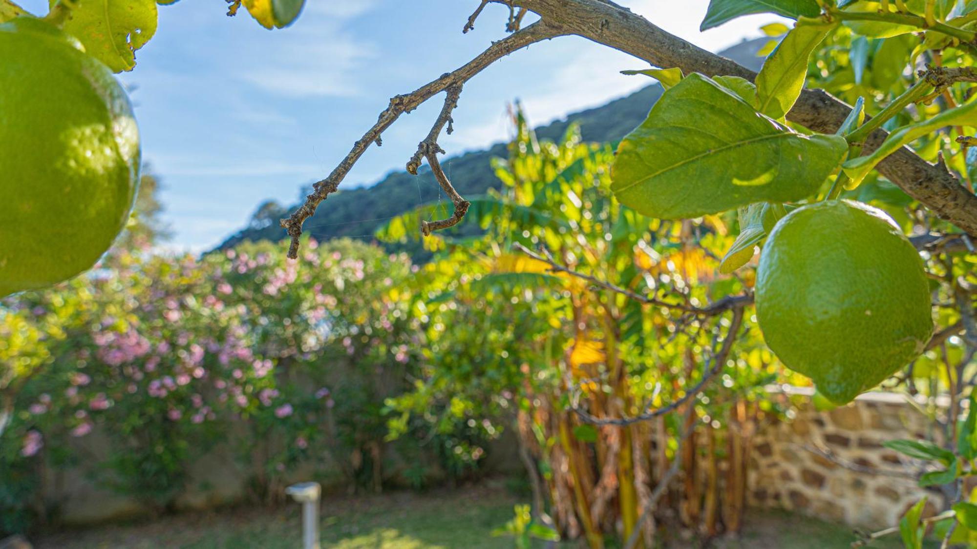Bella Vista Tarifa II公寓 外观 照片