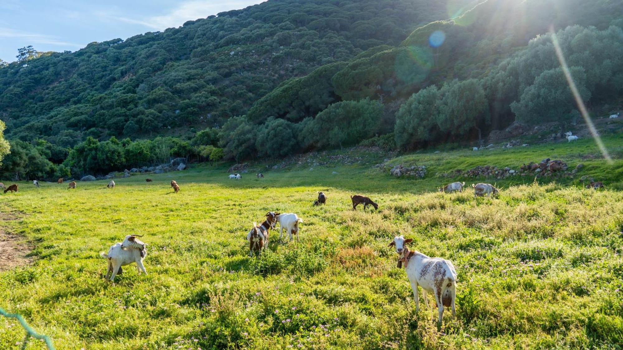 Bella Vista Tarifa II公寓 外观 照片